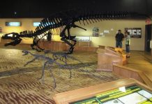 BC dinosaur museum faces extinction BC dinosaur museum faces extinction