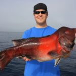 Big Female Fish Play a Big Role in Replenishing Populations Big Female Fish Play a Big Role in Replenishing Populations