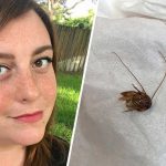 Florida Woman wakes up to find cockroach in her ear Florida Woman wakes up to find cockroach in her ear