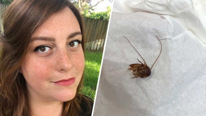 Florida Woman wakes up to find cockroach in her ear