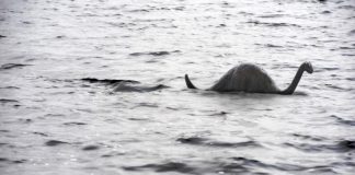 Kiwi researchers to lead DNA hunt for Loch Ness monster Kiwi researchers to lead DNA hunt for Loch Ness monster