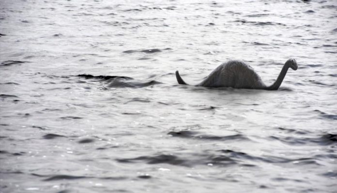 Kiwi researchers to lead DNA hunt for Loch Ness monster