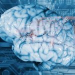 Researchers Unveil Research On New Freeze Response In The Brain Researchers Unveil Research On New Freeze Response In The Brain