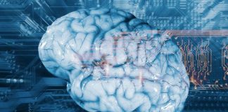 Researchers Unveil Research On New Freeze Response In The Brain Researchers Unveil Research On New Freeze Response In The Brain