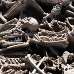 Researchers discover a modern foe in ancient skeletons Researchers discover a modern foe in ancient skeletons