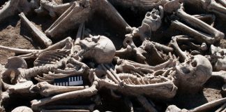 Researchers discover a modern foe in ancient skeletons Researchers discover a modern foe in ancient skeletons