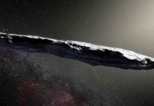 Researchers spot the first ‘interstellar immigrant’ in our own solar system Researchers spot the first 'interstellar immigrant' in our own solar system