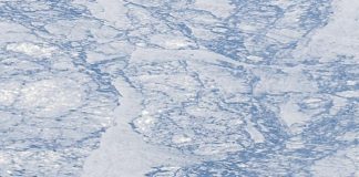 Study: Greenland Ice Stream is extra sensitive to environmental changes Study: Greenland Ice Stream is extra sensitive to environmental changes