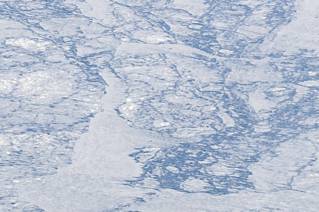Study: Greenland Ice Stream is extra sensitive to environmental changes