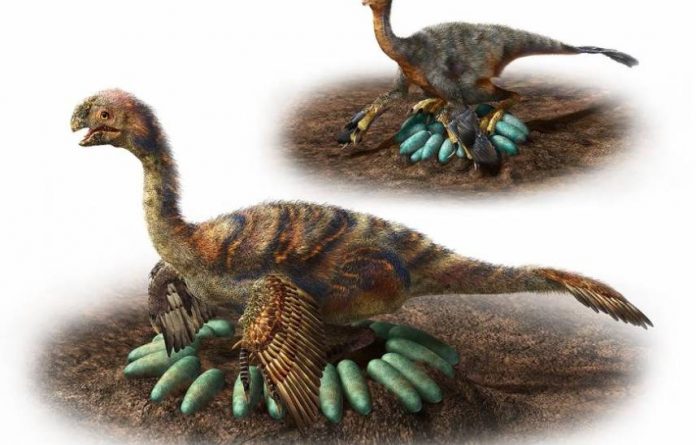 Study: How huge dinosaurs nested without crushing their eggs