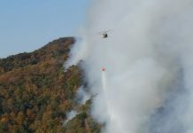 U of A-based team to launch a satellite that will help fight future wildfires U of A-based team to launch a satellite that will help fight future wildfires