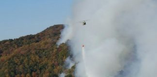 U of A-based team to launch a satellite that will help fight future wildfires U of A-based team to launch a satellite that will help fight future wildfires