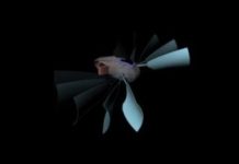 Science: Swimming without an engine — (research)