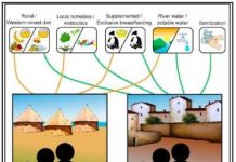 Science: Microbiome differences between urban and rural populations start soon after birth — (research)