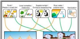 Science: Microbiome differences between urban and rural populations start soon after birth — (research)