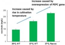 Tech: World’s most efficient production of succinate from carbon dioxide — (Report)