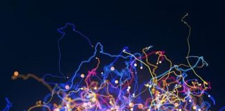 Tech: New tools reveal prelude to chaos — (Report)