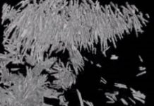 Study: Scientists use 4D scanning to predict behavior of volcanoes —