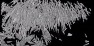 Study: Scientists use 4D scanning to predict behavior of volcanoes —