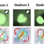 Health: Physicists developed self-propelled droplets that can act as programmable micro-carriers — (Study)