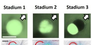 Health: Physicists developed self-propelled droplets that can act as programmable micro-carriers — (Study)