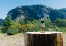 Study: How to suck carbon dioxide from the sky for fuels and more —