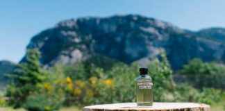 Study: How to suck carbon dioxide from the sky for fuels and more —