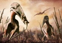 Study: Research reveals knowledge of prehistoric diets is often based on outdated ideas and could be inaccurate —