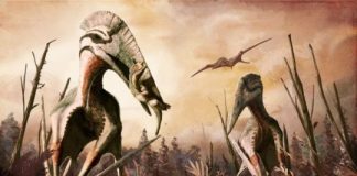 Study: Research reveals knowledge of prehistoric diets is often based on outdated ideas and could be inaccurate —