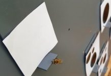 Study: Bees understand the concept of zero —