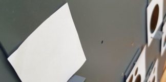 Study: Bees understand the concept of zero —