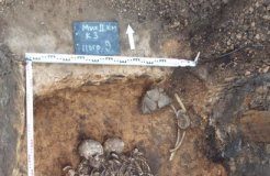 Health: Oldest bubonic plague genome decoded — (Study)