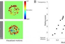 Tech: Discerning reflective/transparent materials through motion — (Report)