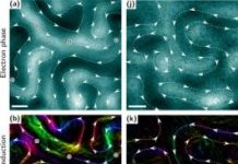 Tech: Study relies on high-resolution microscopy techniques to confirm nanoscale magnetic features — (Report)