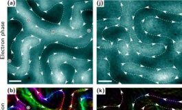 Tech: Study relies on high-resolution microscopy techniques to confirm nanoscale magnetic features — (Report)