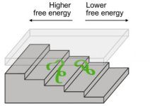 Tech: Technique enables analysis of how living systems work at small scales — (Report)