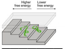 Tech: Technique enables analysis of how living systems work at small scales — (Report)