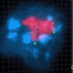 Health: Creating 3D maps of DNA within the innermost parts of a cell — (Study)