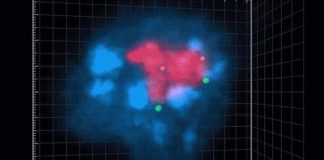 Health: Creating 3D maps of DNA within the innermost parts of a cell — (Study)