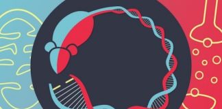 Mutation links bipolar disorder to mitochondrial disease — (Study)