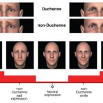 Health: If your eyes wrinkle when you smile or frown, you appear more sincere — (Study)