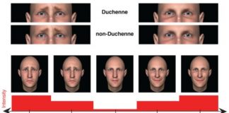 Health: If your eyes wrinkle when you smile or frown, you appear more sincere — (Study)