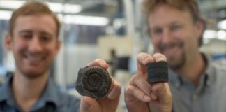 Volcanic activity, declining ocean oxygen triggered mass extinction of ancient organisms — (research)