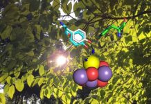 Making the oxygen we breathe, a photosynthesis mechanism exposed — (research)
