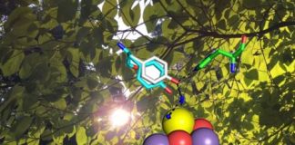 Making the oxygen we breathe, a photosynthesis mechanism exposed — (research)