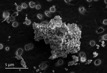 Chemical studies show that dust particles originated in a low-temperature environment — (research)