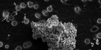 Chemical studies show that dust particles originated in a low-temperature environment — (research)