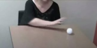 Researchers map brain of blind patient who can see motion — (Study)