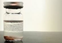 Lignin, a pulp industry by-product, could replace fossil materials — (Report)