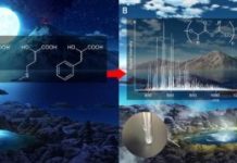 Research: Simple chemical process that may have led to the origin of life on Earth —